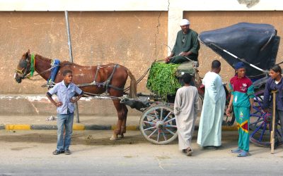 Egypt: 2024 Outlook