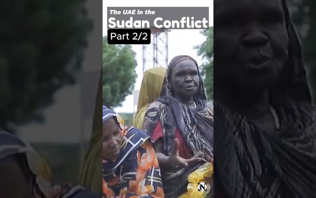The #UAE in the #Sudan crisis. #Africa.  Part 2 of 3. #shorts