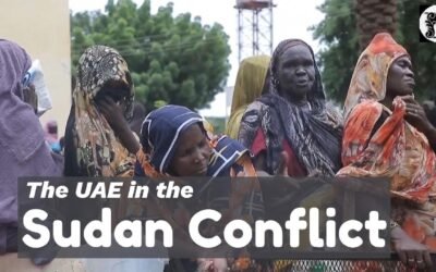 The #UAE in the #Sudan Crisis